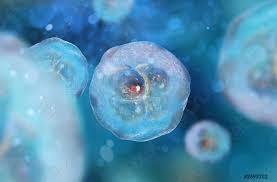 幹細胞技術最完整的科普介紹：5分鐘完整介紹幹細胞治療如何抗衰老！